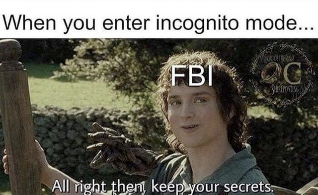 When you enter incognito mode... FBI: All right then, keep your secrets.